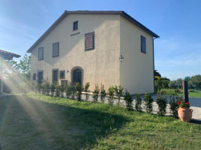 L'Acero di STALL